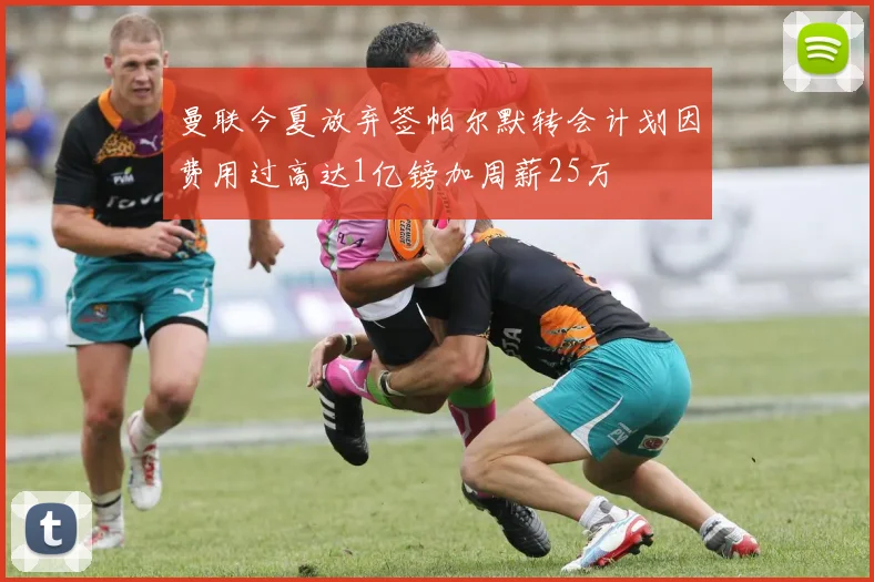 曼联今夏放弃签帕尔默转会计划因费用过高达1亿镑加周薪25万