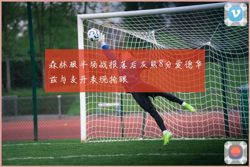 森林狼半场战报落后灰熊8分爱德华兹与麦丹表现抢眼